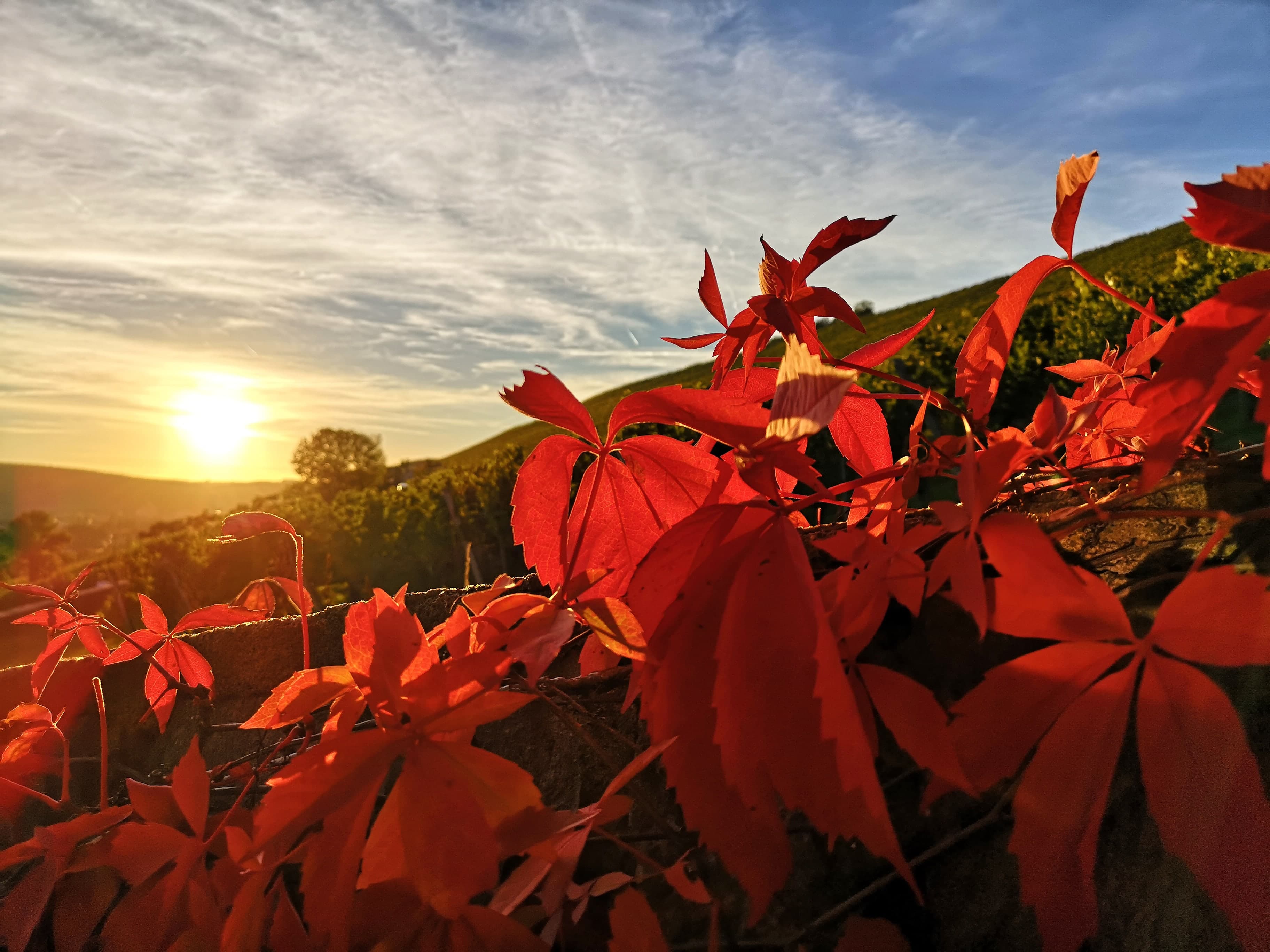 Romantisches Franken
